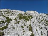 Planina Kuk - Zeleni vrh